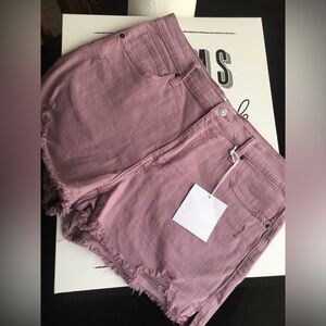 Pistola size 31 Shorts